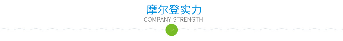 摩尔登实力